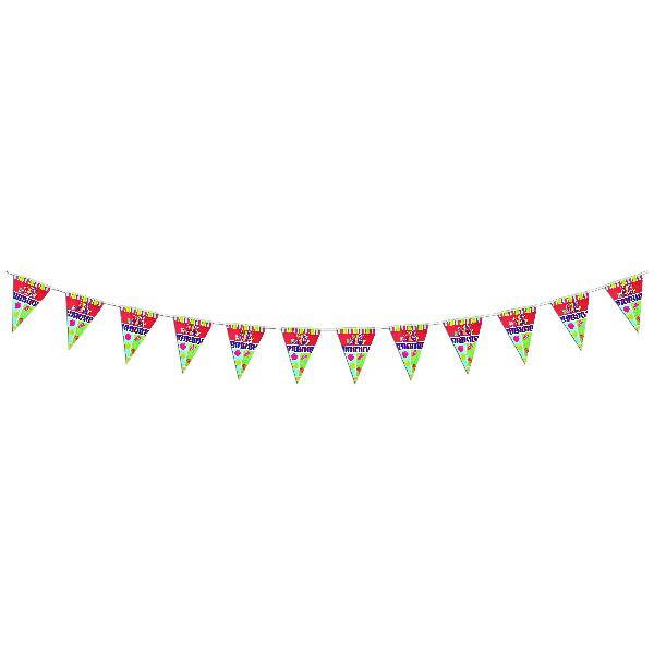 Birthday Party Pennants - Sku BTS-029311