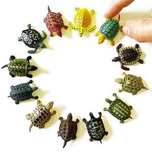 Mini Turtles (1 Dozen)